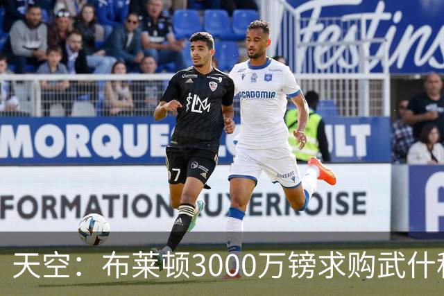 天空：布莱顿3000万镑求购武什科维奇，预计热刺对其估值超6000万